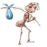 gene's profile picture
