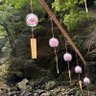 おはな 的头像