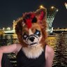🐾gotou🐾 profil fotoğrafı