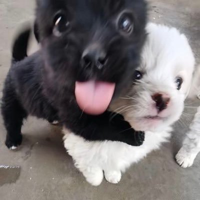 사부's profile picture