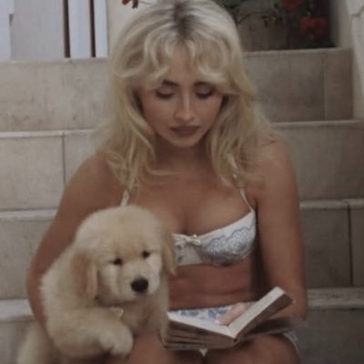 tor ꕤ's profile picture