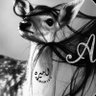 Profilbild von أمـيـره