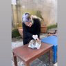 Zehra profil fotoğrafı