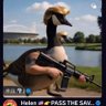 美国金牛2's profile picture