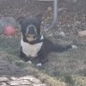 Profilbild von DERBY PAUL