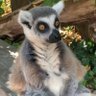 Drach's profile picture