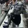 Фото профиля SuperFrog’s Burner