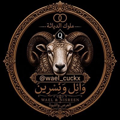Wael_cuckx's profile picture
