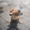ひっきー profil fotoğrafı