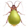 Profilbild von Anti homme Grelou Poire