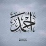 Profilbild von Ahmed Rashed Mohamed