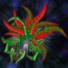 Фото профиля BigPartyPack