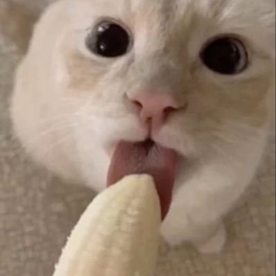 Se_xtt's profile picture