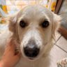 matdenfunnyman profil fotoğrafı