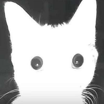 Binmaster Reggie's profile picture