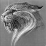 taiyi's profile picture
