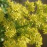 Profilbild von Welcoming Spring
