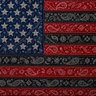 Profilbild von BlacksBuiltAmerica