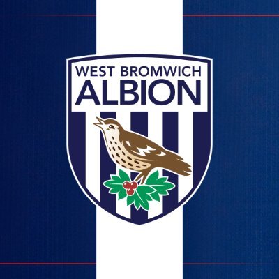 WBA's profile picture