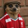 Liverpool fan 的头像