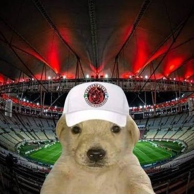 MengaoFodao's profile picture