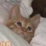 しおり profil fotoğrafı