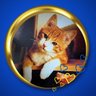 Profilbild von ichicat