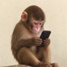 sylight's profile picture