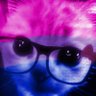 Rio ๐ฉ's profile picture