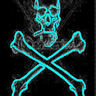 Profilbild von RaiderCano☠️♿️