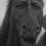Profilbild von frameburner