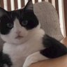 Mɾ Bʅυҽ Sƙყ's profile picture