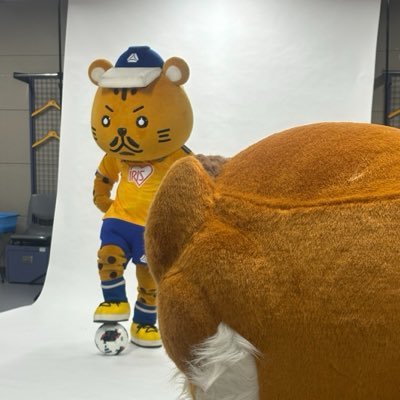 kohsoku_cheetah's profile picture