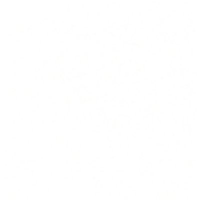 exp's profile picture
