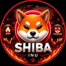 SHIBA 的头像