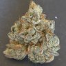 Фото профиля ThatHighCanadian