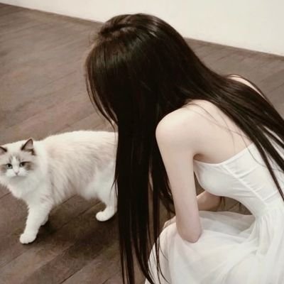 Siriuspuppybrat's profile picture