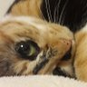 かねきん 的头像