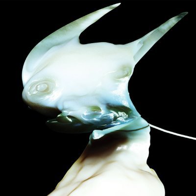 ambarismos's profile picture