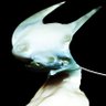 Profilbild von electrolux com toque fantasma
