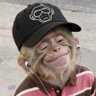 Dave profil fotoğrafı
