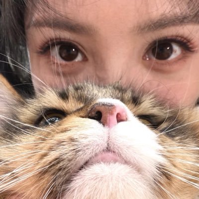 ᴍɪᴀᴏ's profile picture