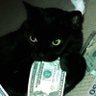 !!!!!'s profile picture