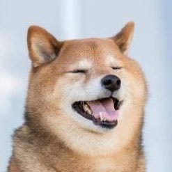 komekura_MEGU's profile picture