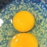 Egg_Hsu_Sht profil fotoğrafı
