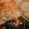 Seeker's profile picture
