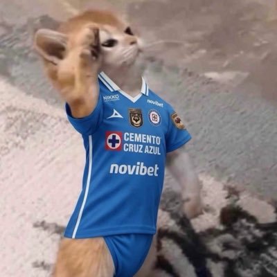 Mr Mauvita 🇨🇴🇲🇽's profile picture