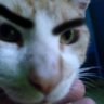 Profilbild von qteimporta1998