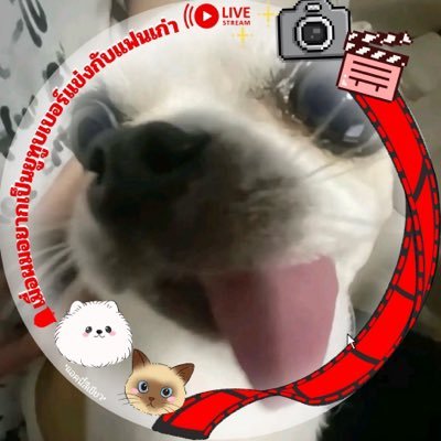 ลินซู's profile picture