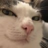 Profilbild von Bernard